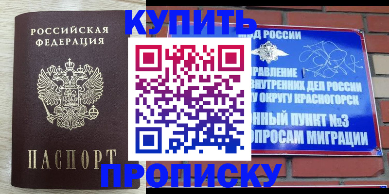 прописка гарантия в Балашихе